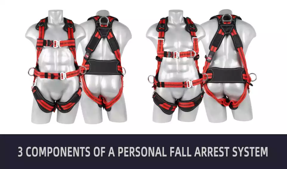 Comparison of American and European Full Body Harness Test Standards