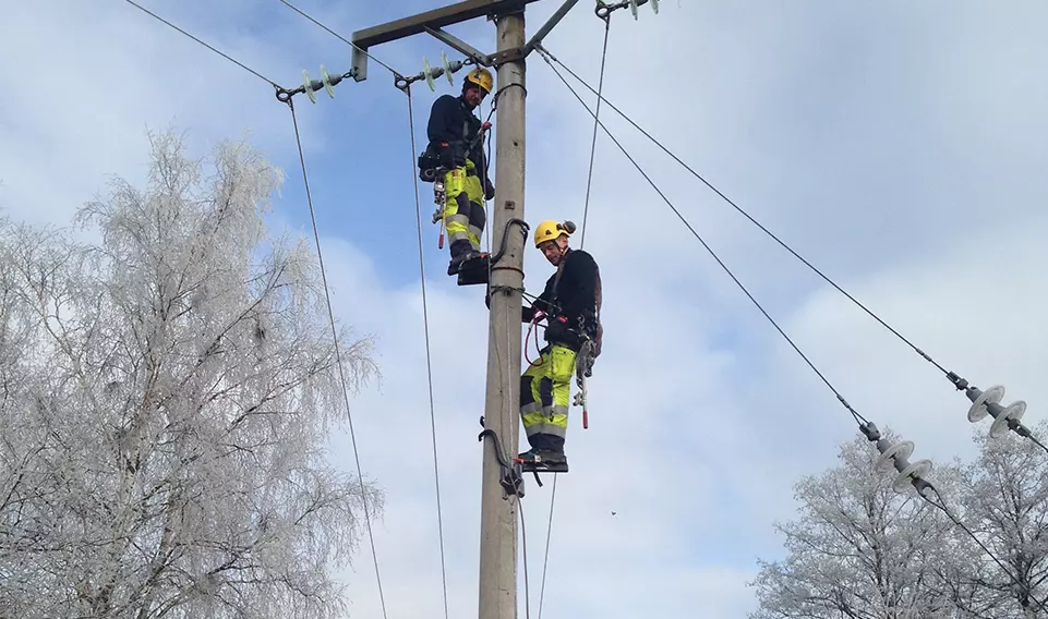 The Essential Tools for Electrical Workplace Safety