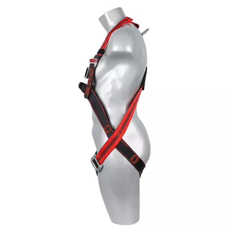 Full Body Harness FA20501 750x750-1.JPG