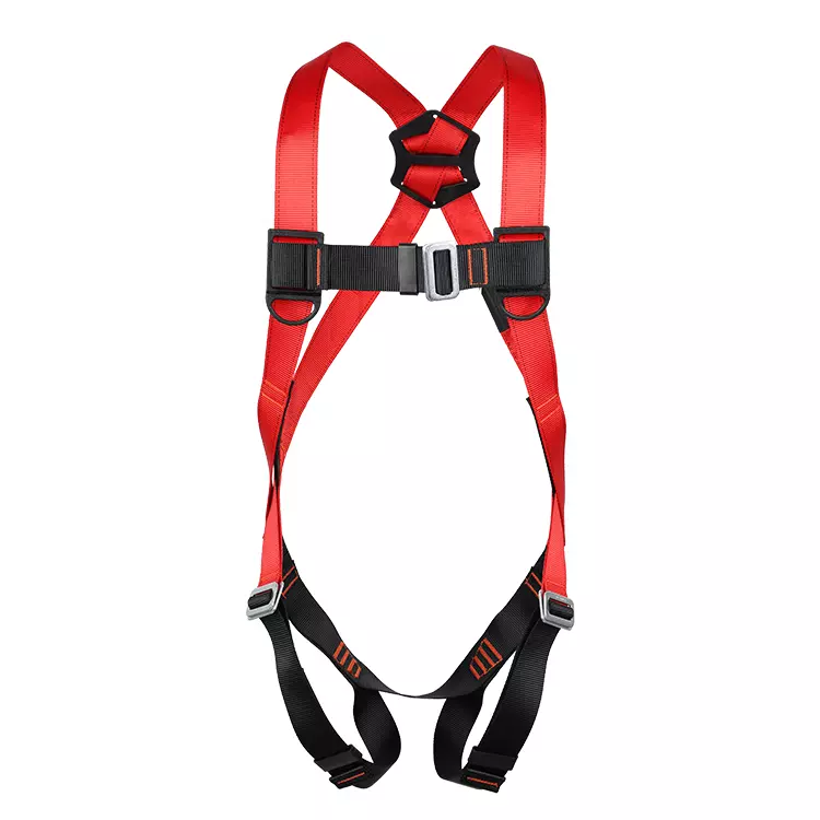 Full Body Harness FA10301-Eco 750x750-4.JPG