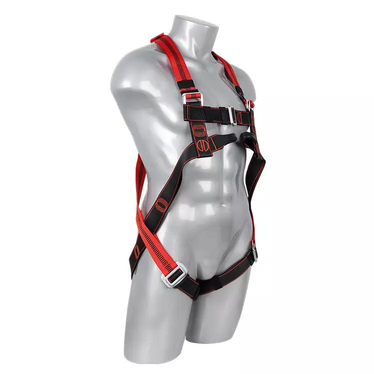 Full Body Harness FA20501 750x750-3.JPG