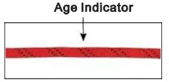 Age Indicator.webp