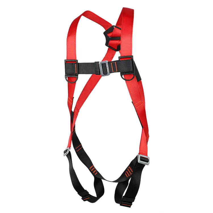 Full Body Harness FA10301-Eco 750x750-5.JPG