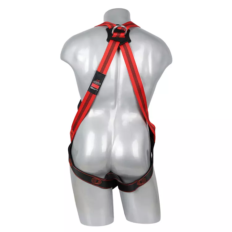 Full Body Harness FA20501 750x750-2.JPG