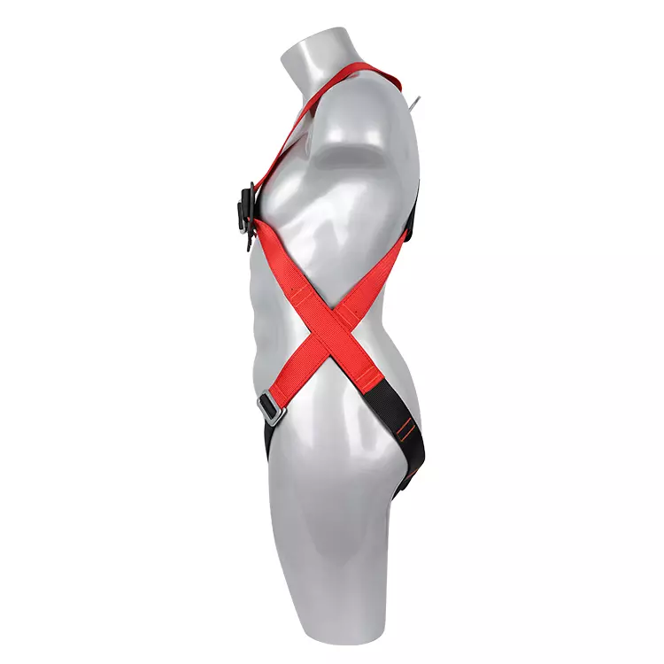 Full Body Harness FA10301-Eco 750x750-1.JPG