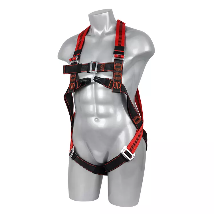 Full Body Harness FA20501 750x750.JPG