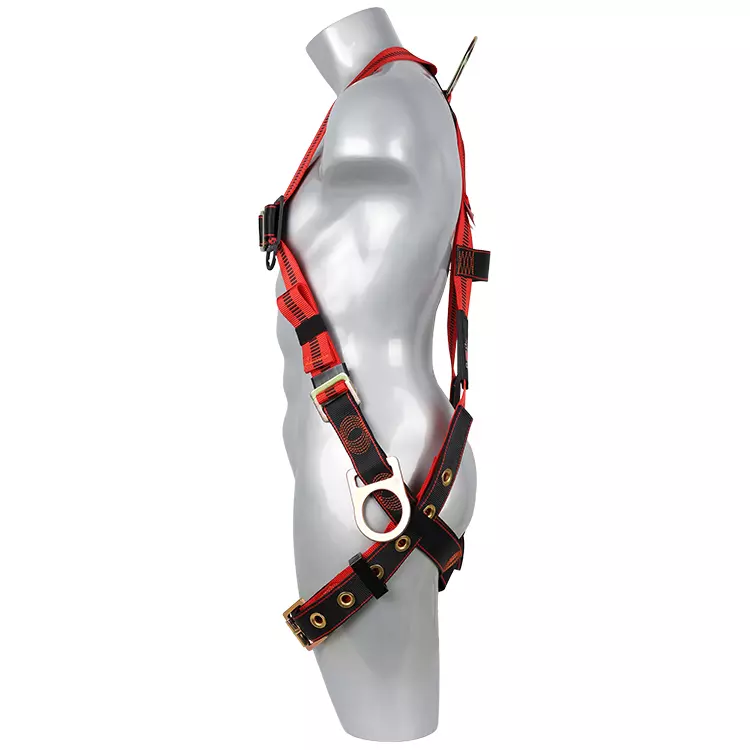 Full Body Harness FA30503 750x750-1.JPG