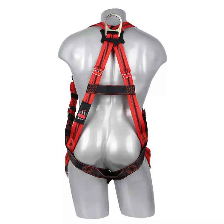 Full Body Harness FA10501 750x750-2.JPG