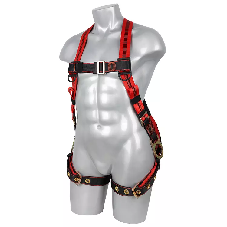 Full Body Harness FA30503 750x750.JPG