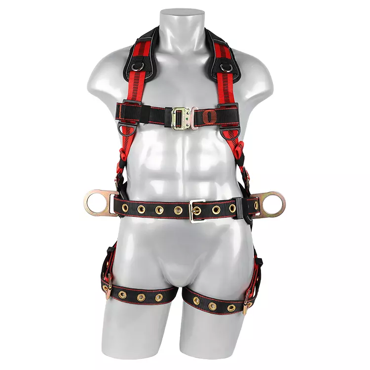 Full Body Harness FA50603 750x750.JPG