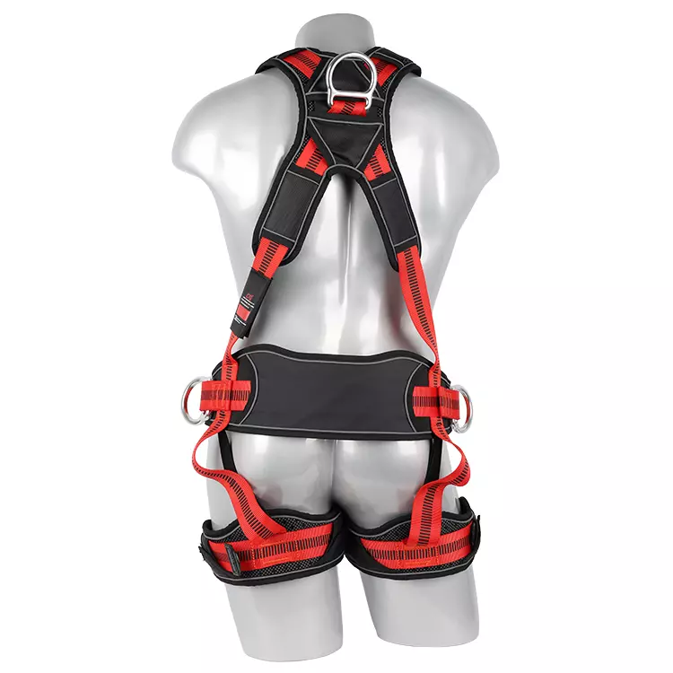 Full Body Harness FA50604 750x750-2.JPG