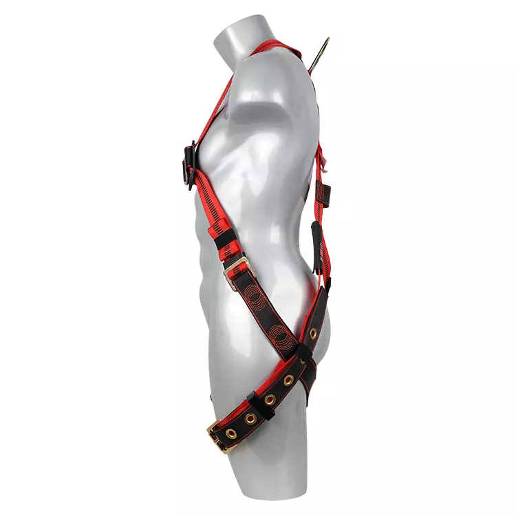 Full Body Harness FA10502 750x750-1.JPG