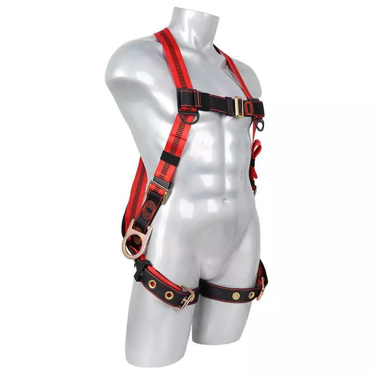 Full Body Harness FA30503 750x750-3.JPG