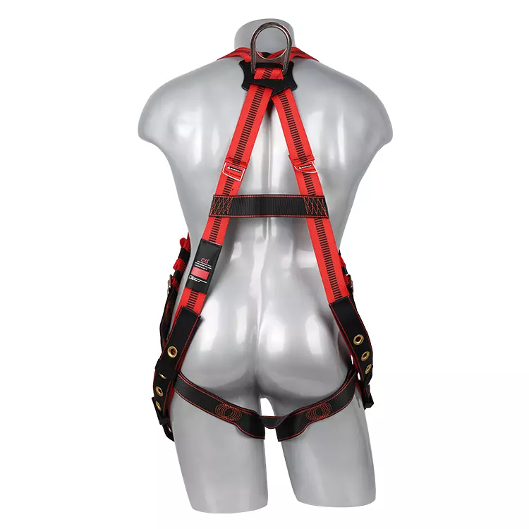 Full Body Harness FA10502 750x750-2.JPG