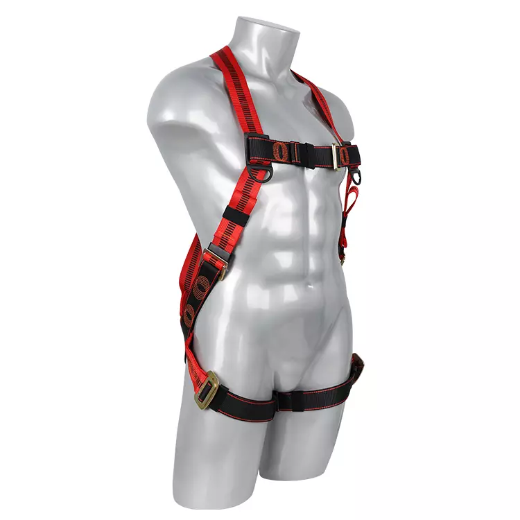 Full Body Harness FA10501 750x750-3.JPG