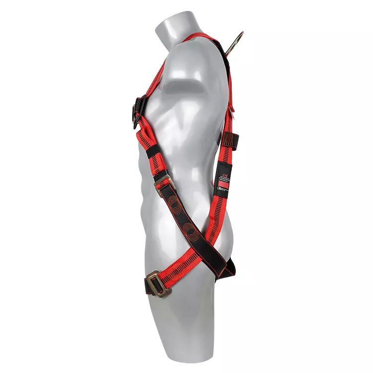 Full Body Harness FA10501 750x750-1.JPG