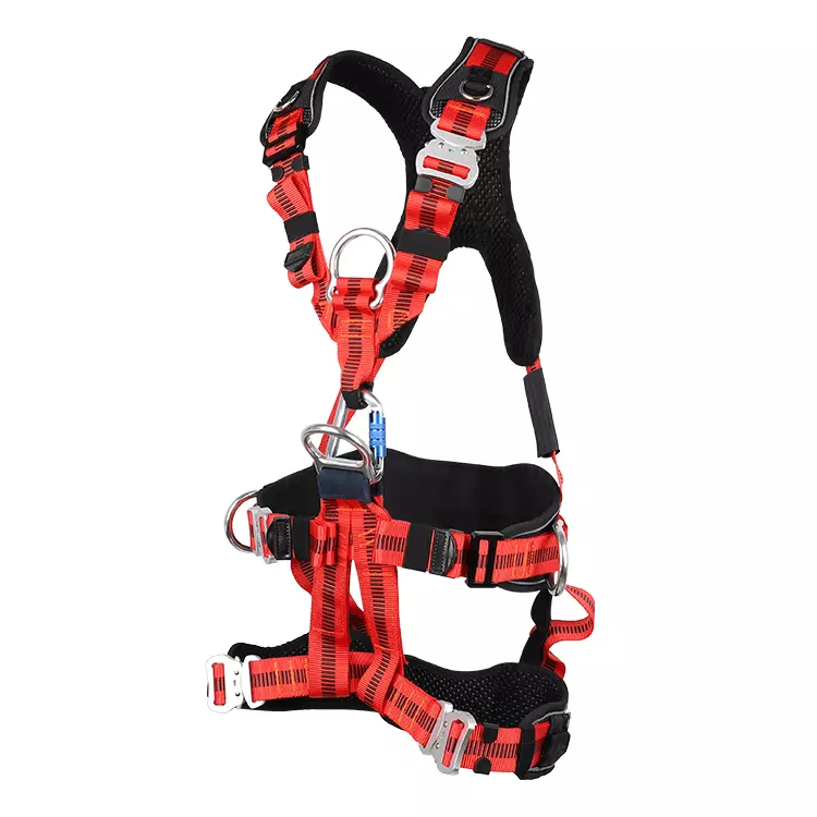 Full Body Harness FA50604 750x750.JPG