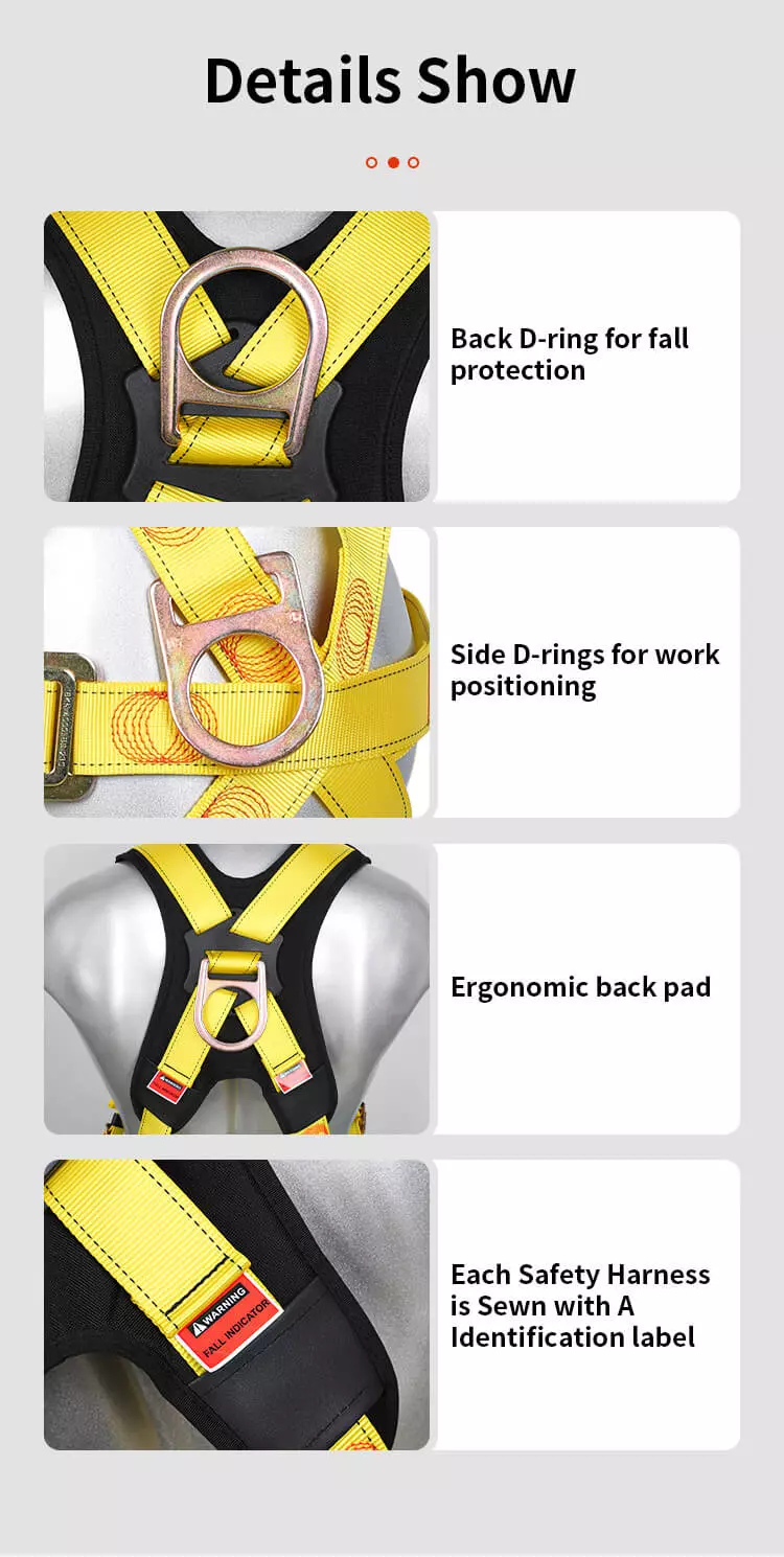 Full Body Harness FA30502-BP