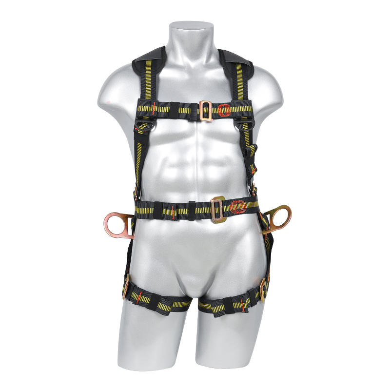 6 Point Full Body Harness FA30502-BP | Shanghai C&G