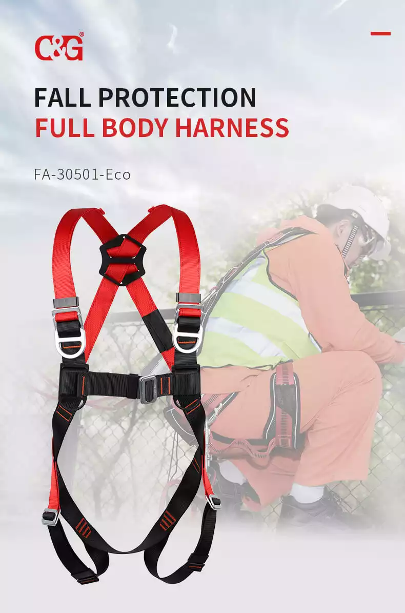 C&G Full Body Harness