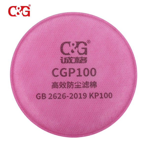 Buy CGP100 Particulate Filter in Indonesia, Indonesia CGP100 ...