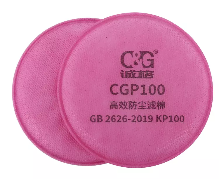 CGP100 Particulate Filter-2.JPG