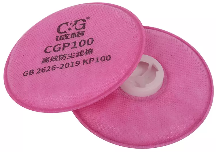 CGP100 Particulate Filter-3.JPG